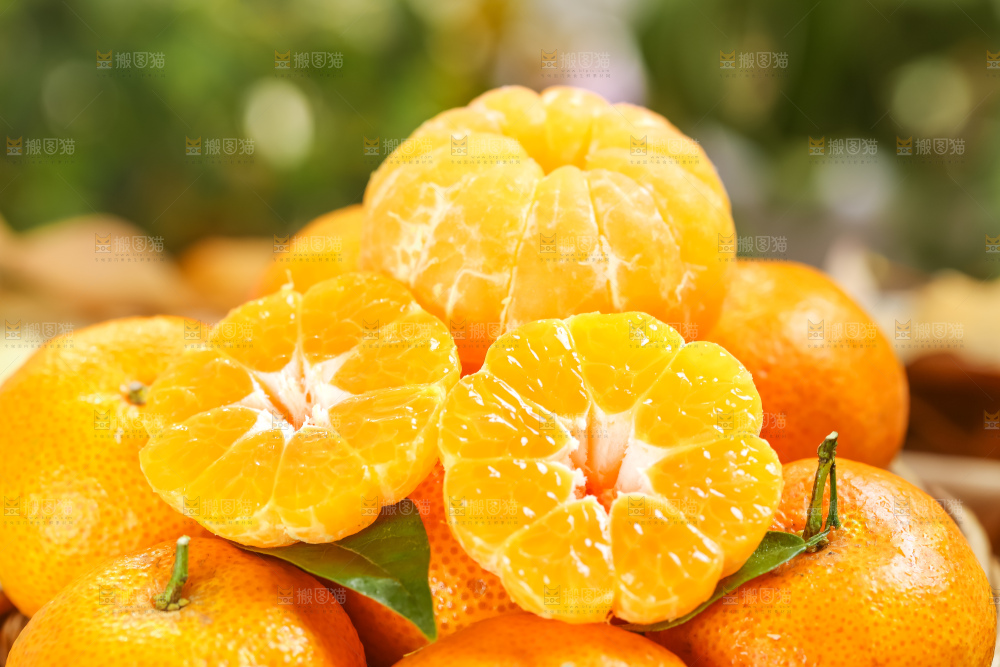 篮子里装着广西砂糖橘