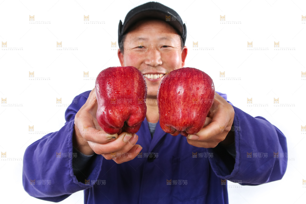 农民手里拿着天水花牛苹果
