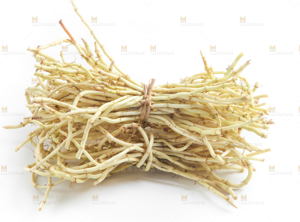 白底上的鱼腥草