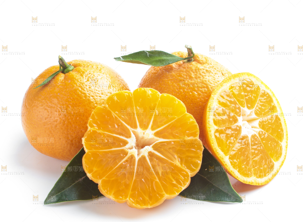 白底上的椪柑橘