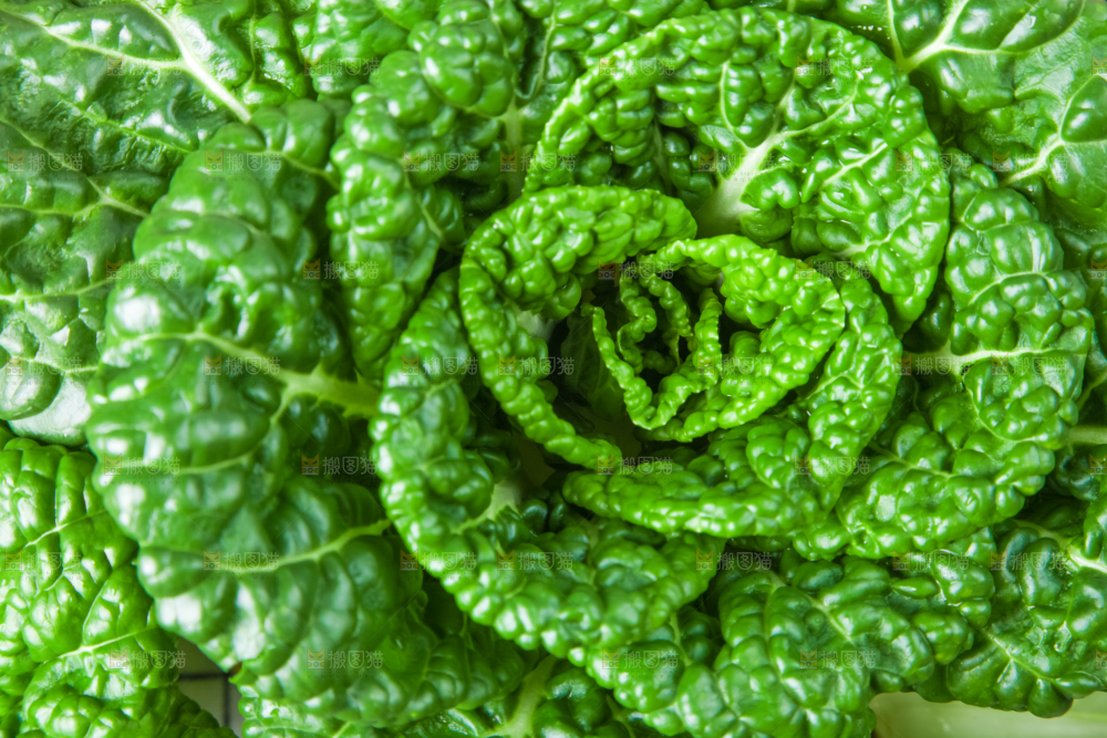 木板上的奶油白菜
