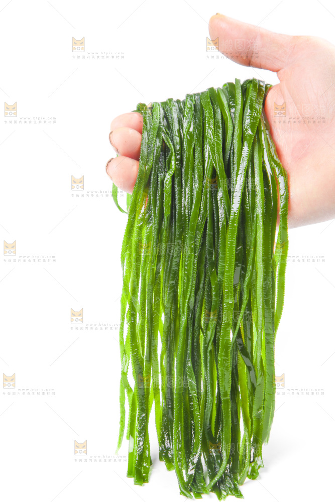 手里拿着海带