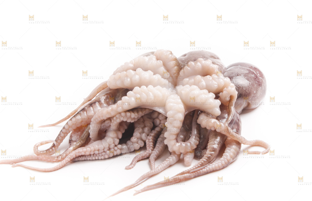 盘子里的大连章鱼