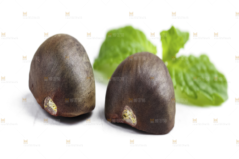 白底上摆放着茶树果
