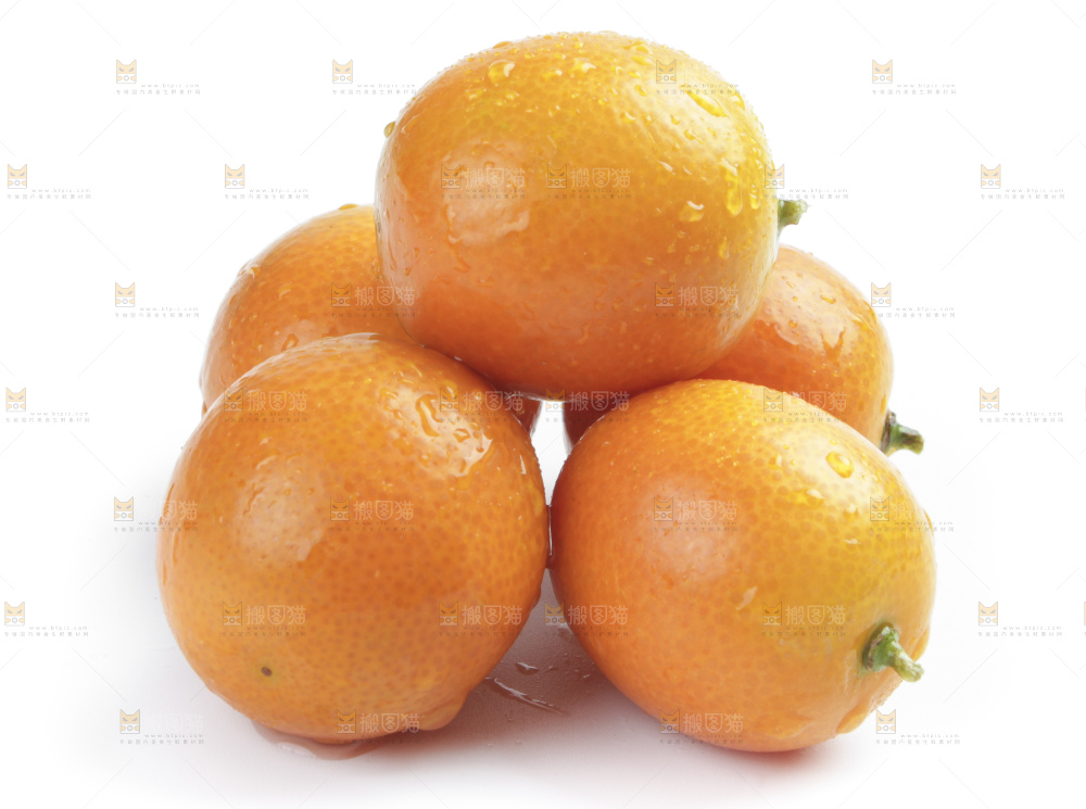 白底上的金钱橘