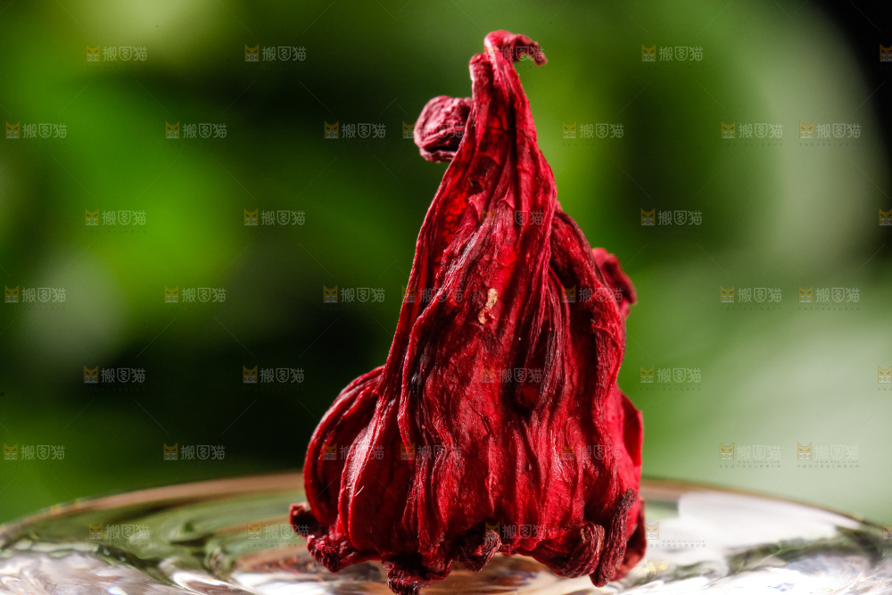 碟子里的玫瑰茄