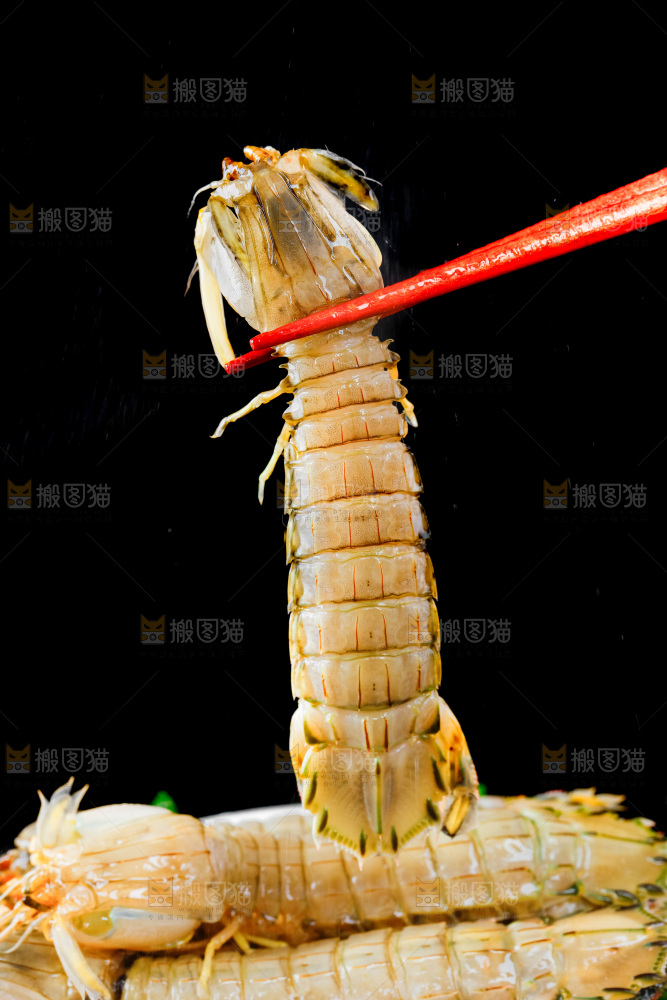 筷子上夹着虾姑