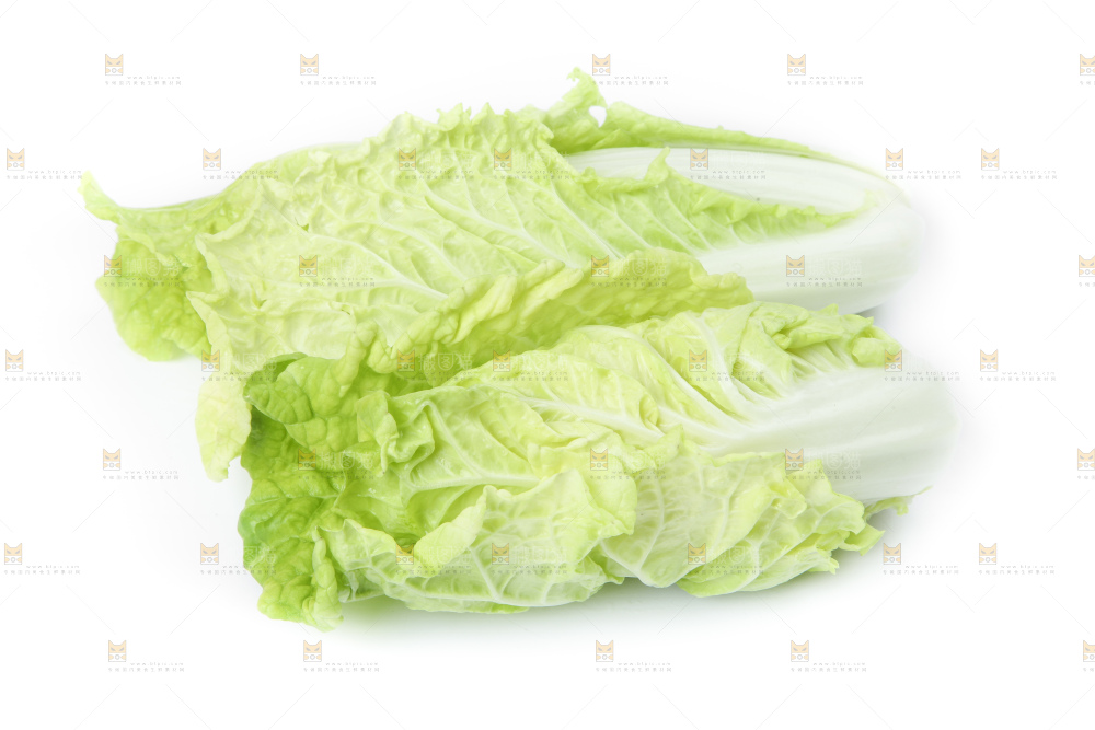 白底上放着大白菜