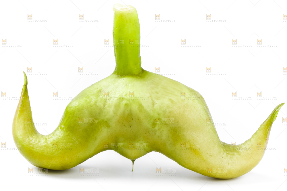 浅底上的新鲜菱角