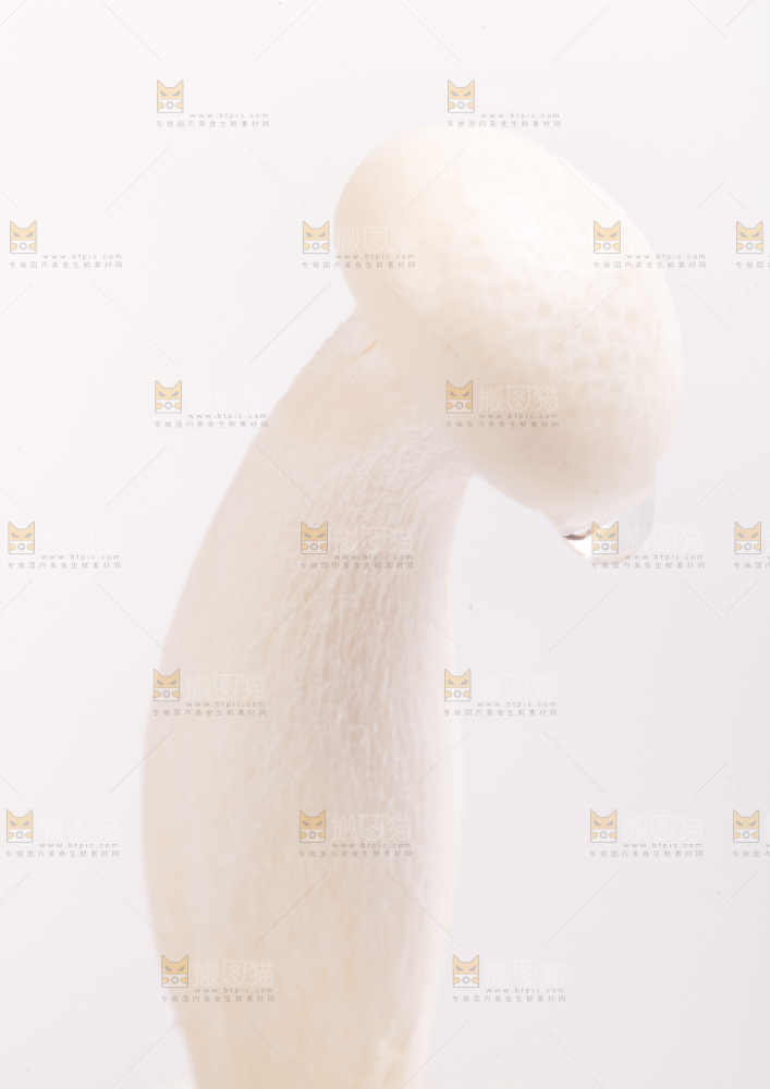 白底上放着白玉菇