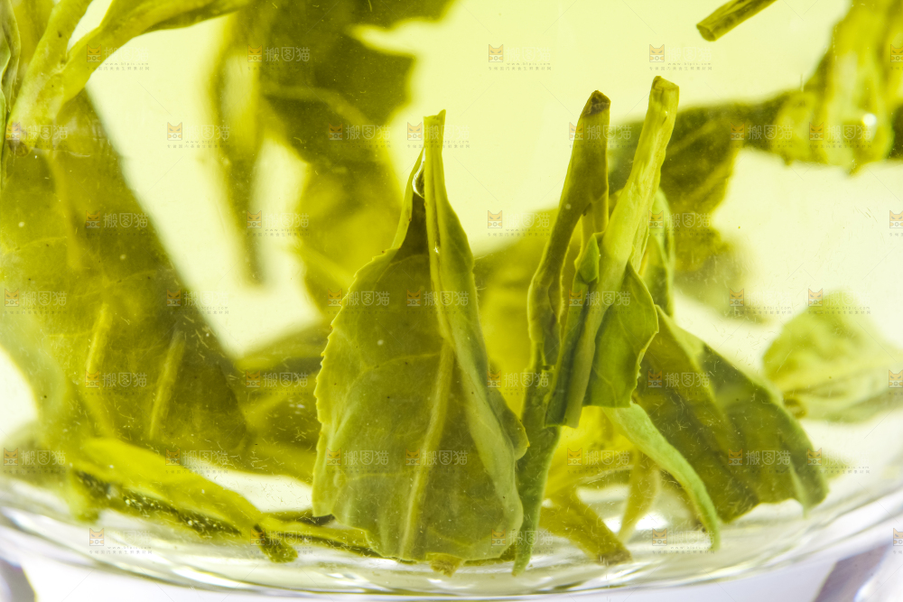杯子里泡着龙井茶