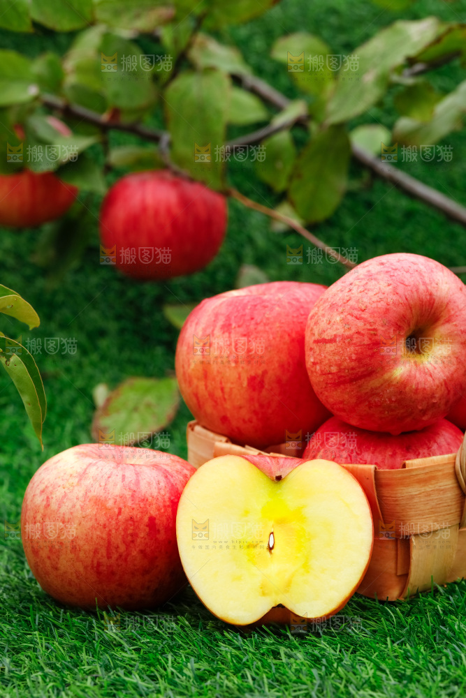 草地上放着冰糖心苹果