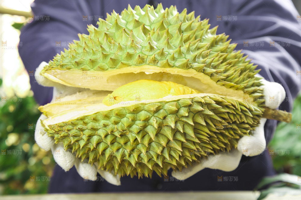 手里拿着新鲜榴莲
