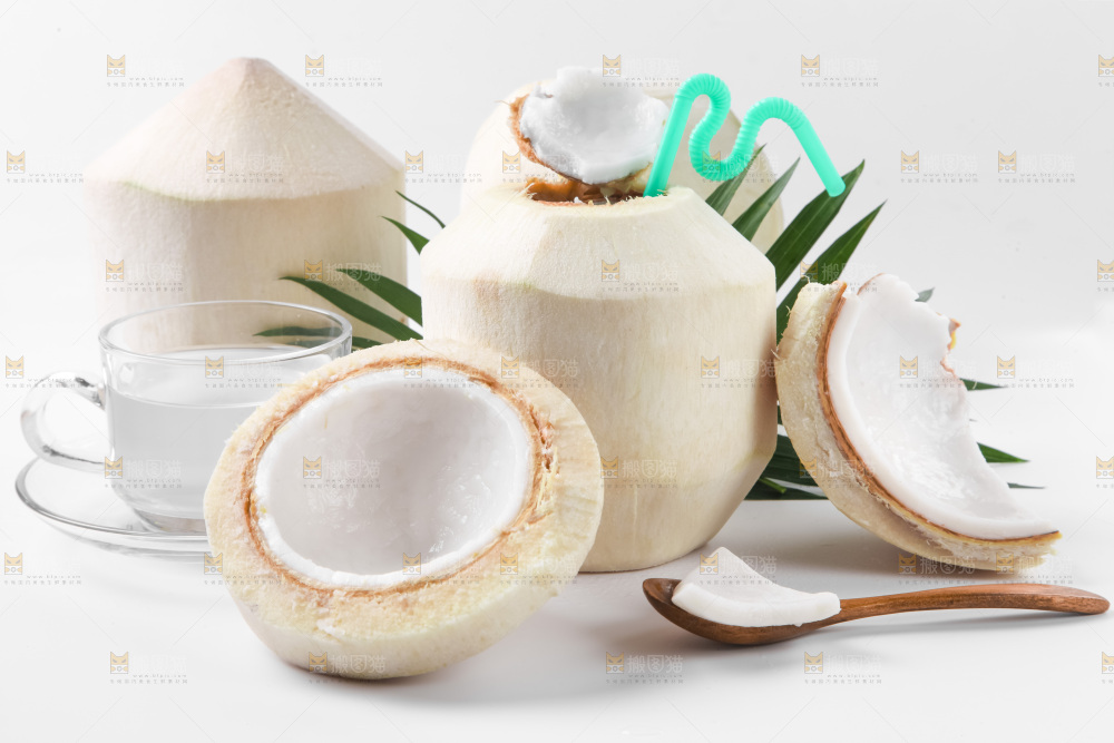白底上青椰子