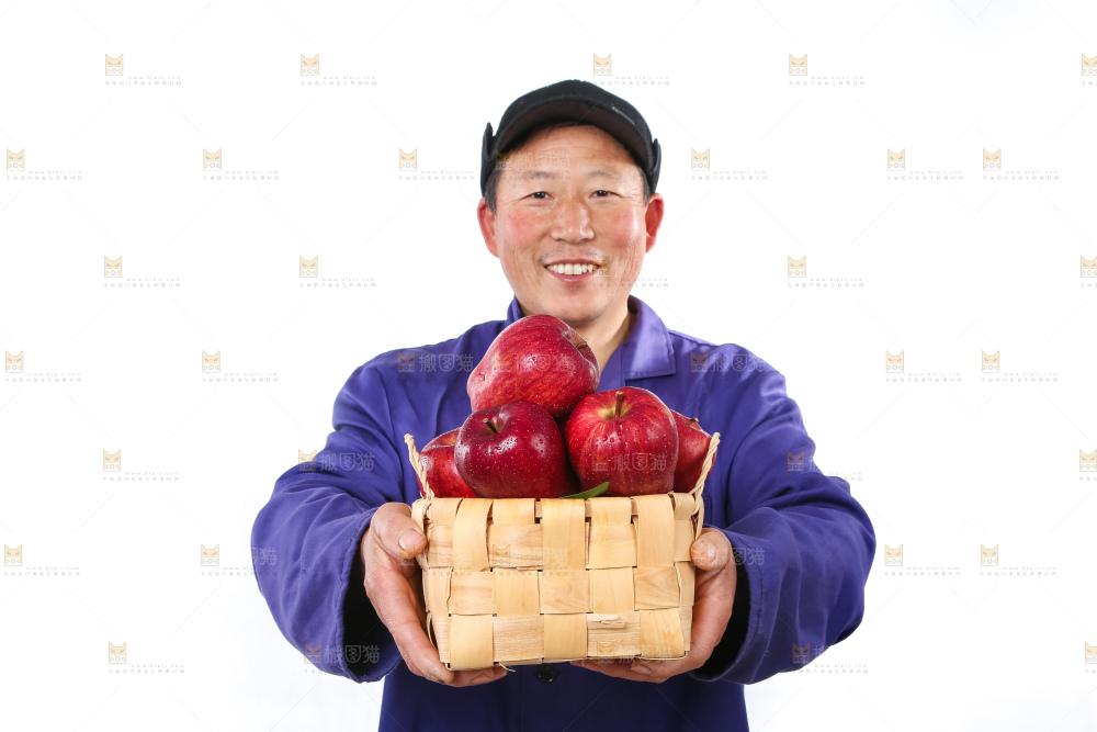 农民手里拿着天水花牛苹果