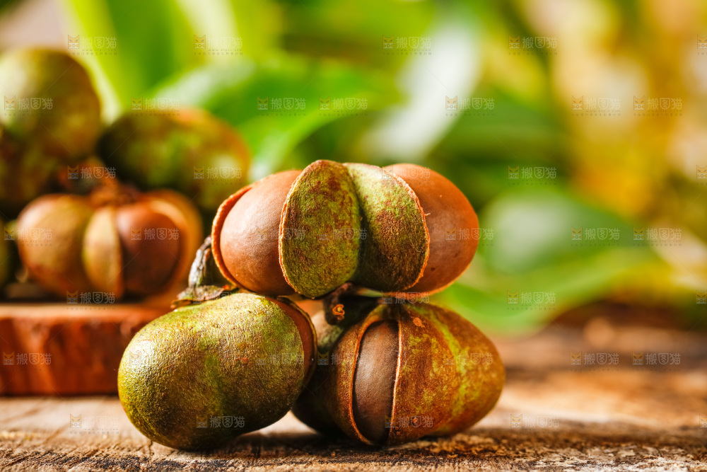 木板上放着茶籽