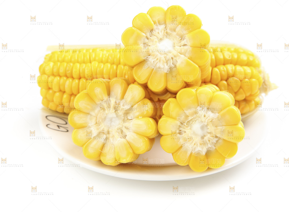 白底上的玉米棒