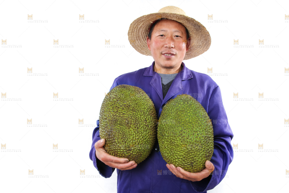 农民手里拿着菠萝蜜