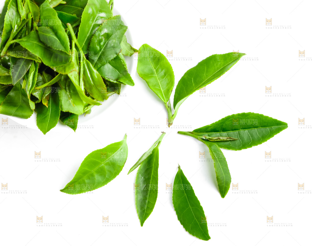 白底上摆放着茶叶子