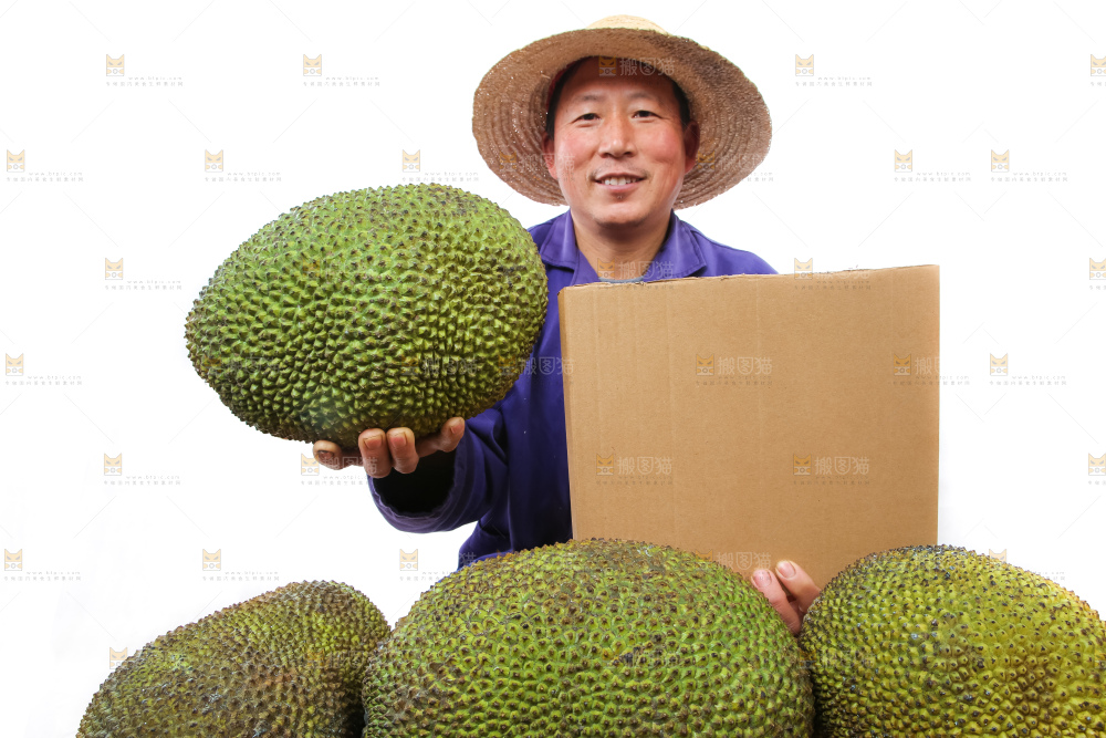 农民手里拿着菠萝蜜