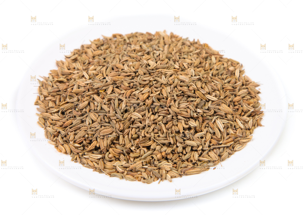 白底上一堆小茴香