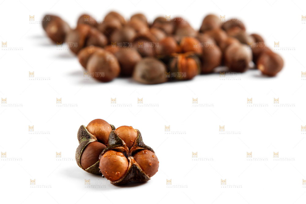 白底上放着茶树果