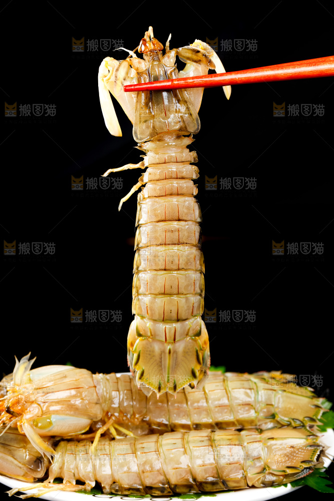 筷子上夹着虾姑