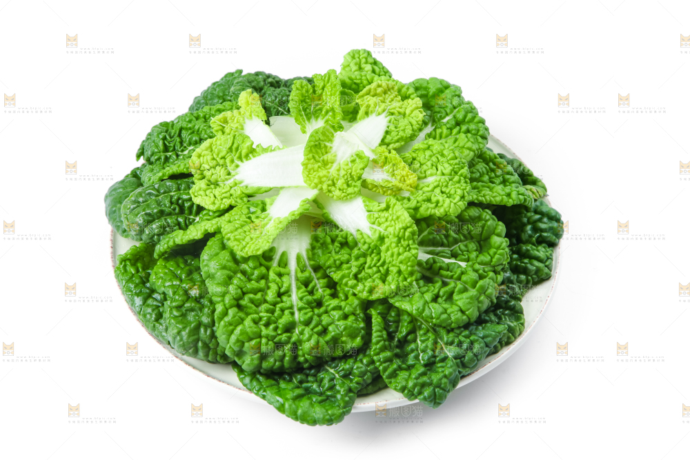 白底上的奶油白菜