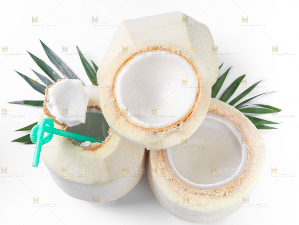 白底上青椰子