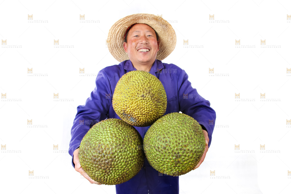 农民手里拿着菠萝蜜