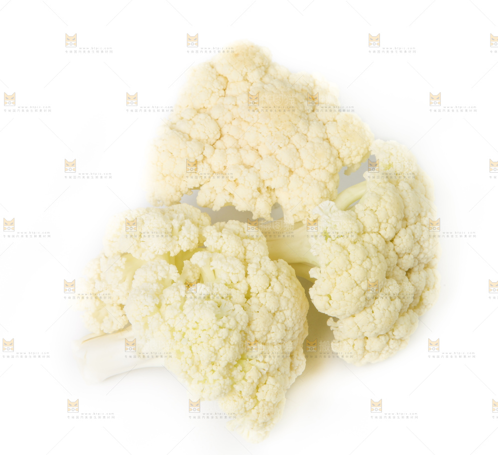 白底上的花菜