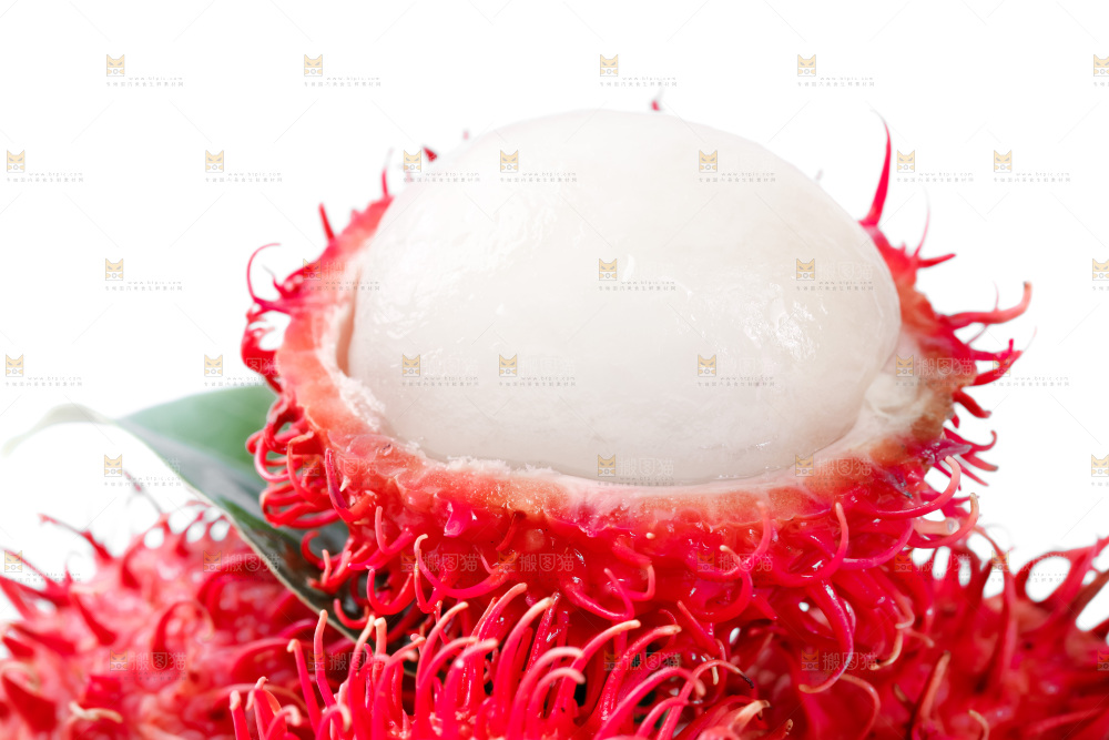 白底上的海南红毛丹