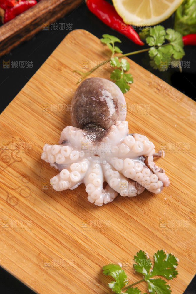 木板上的大连章鱼