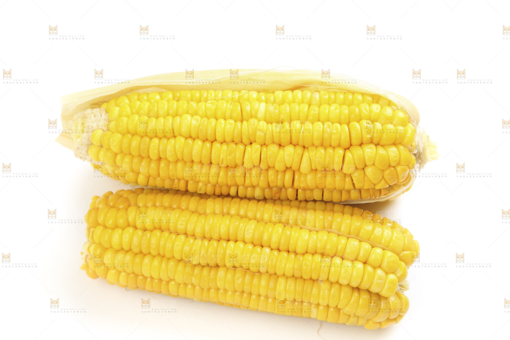白底上的玉米棒