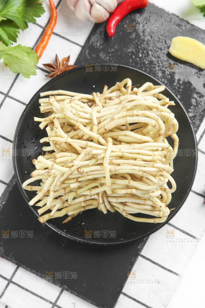 石板上的鱼腥草