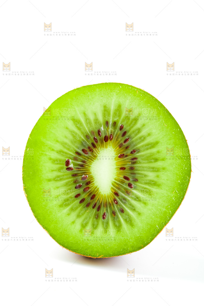 白底上的陕西猕猴桃