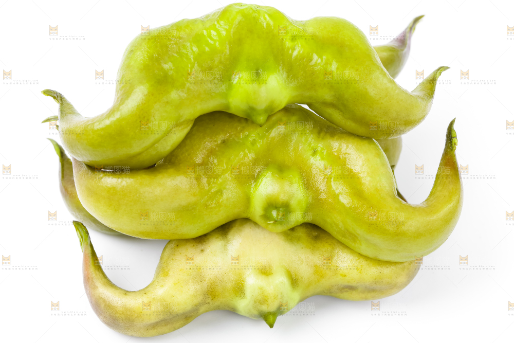 浅底上的新鲜菱角