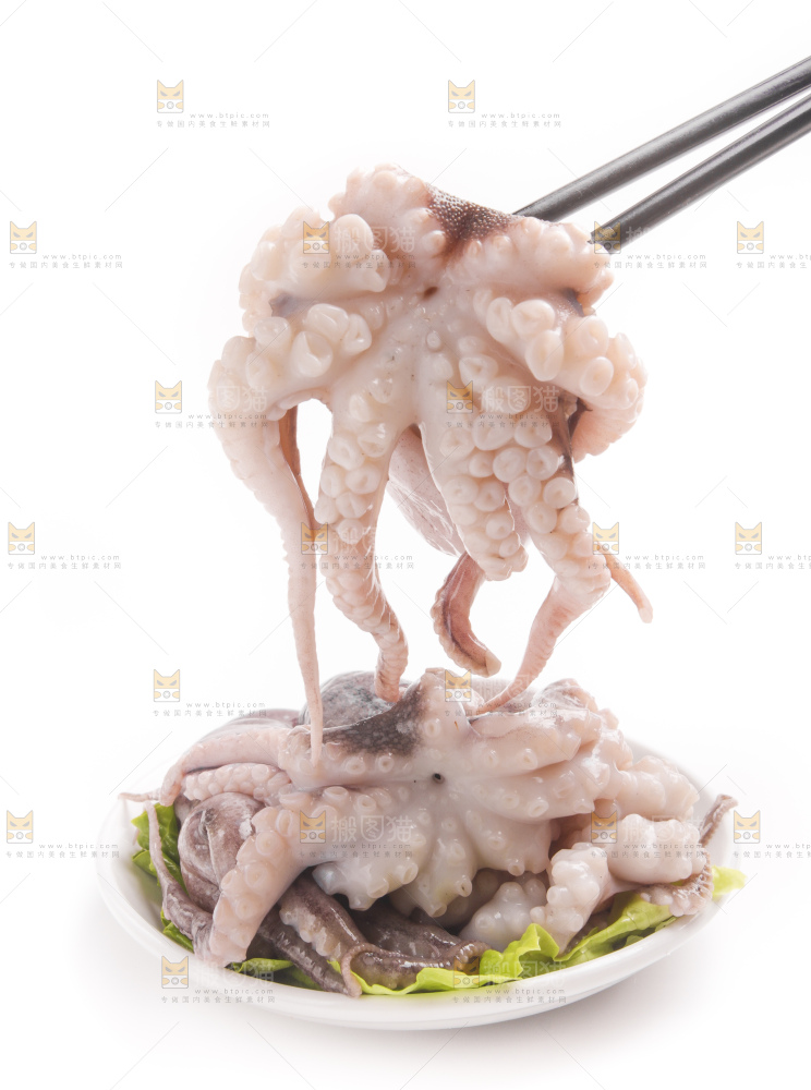 筷子上夹着八爪鱼