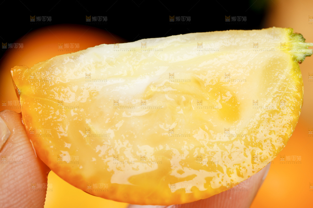 黑底上的小金桔