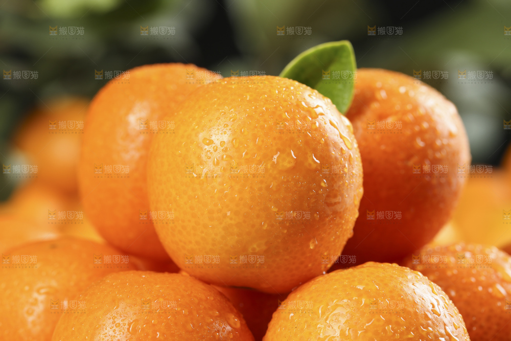 黑石板上的广西金钱橘