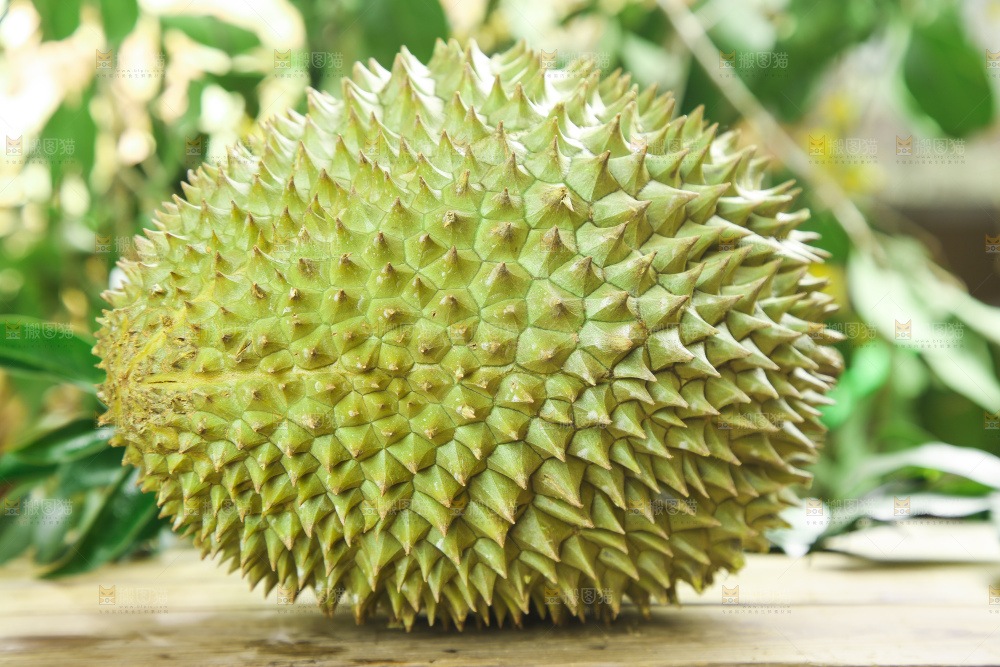 木板上的金枕头榴莲