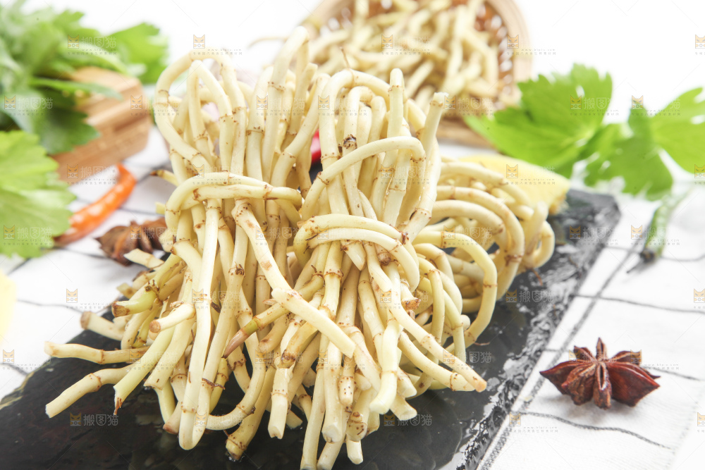 石板上的鱼腥草