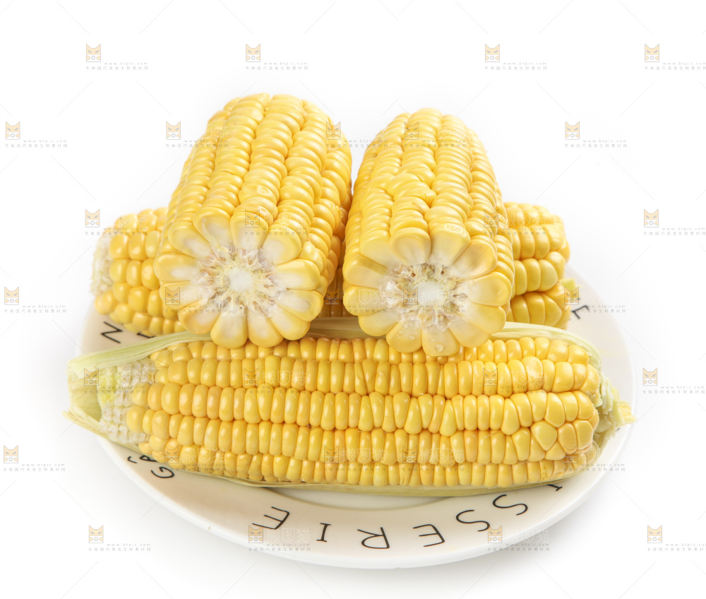 白底上的新鲜玉米