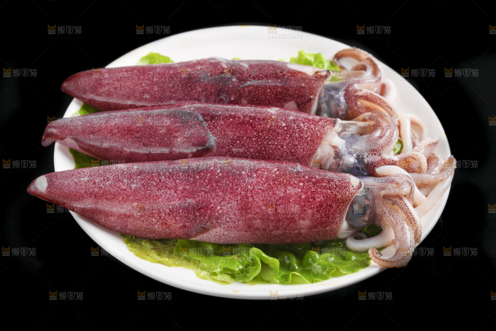 黑底上的鱿鱼