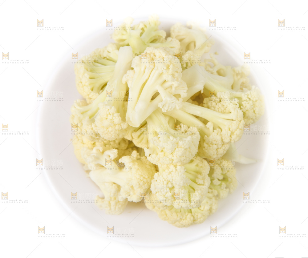 白底上的白花菜