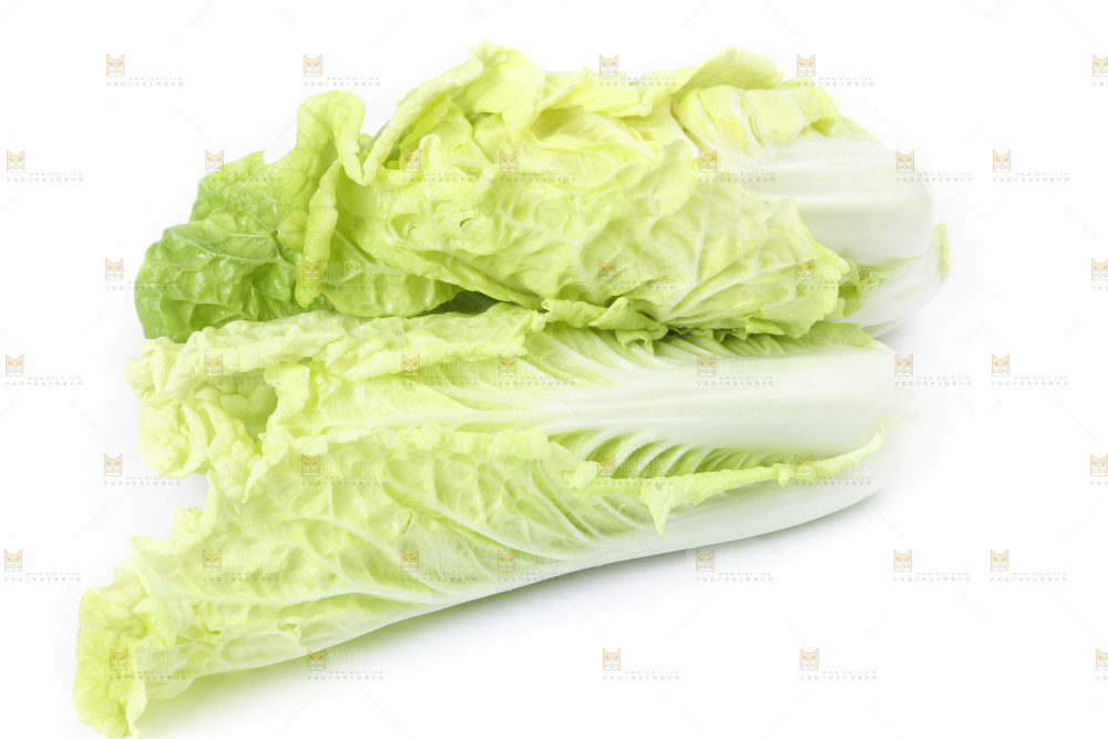 白底上放着大白菜