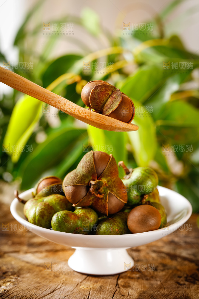 碟子里装着茶油籽