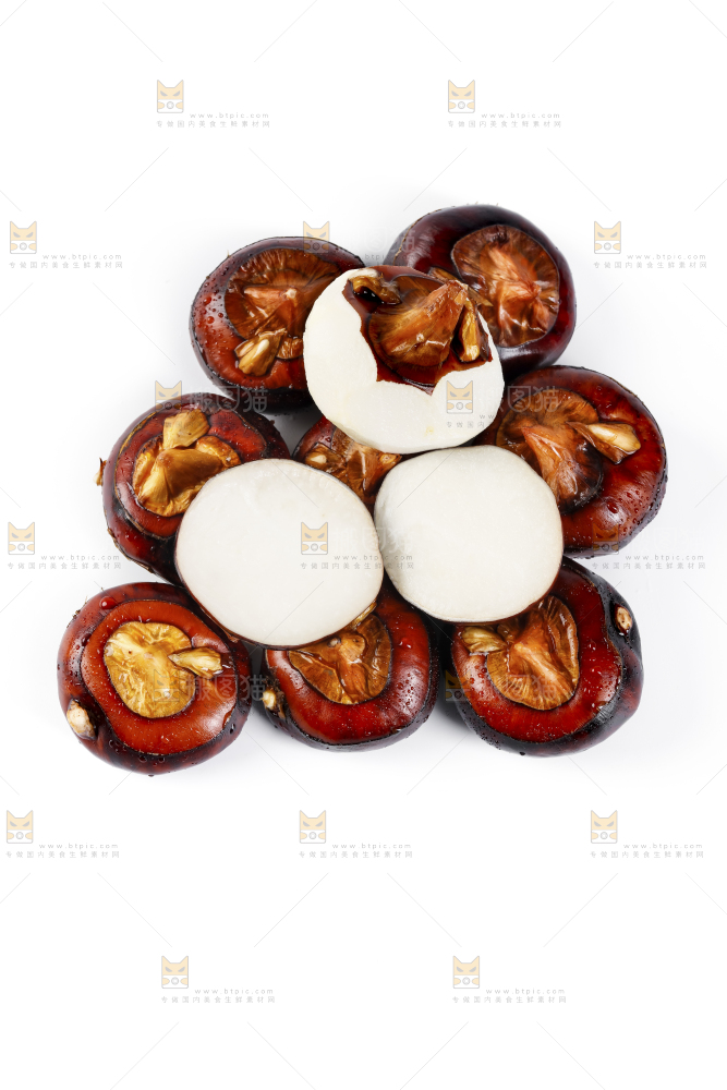 白底上放着广西马蹄