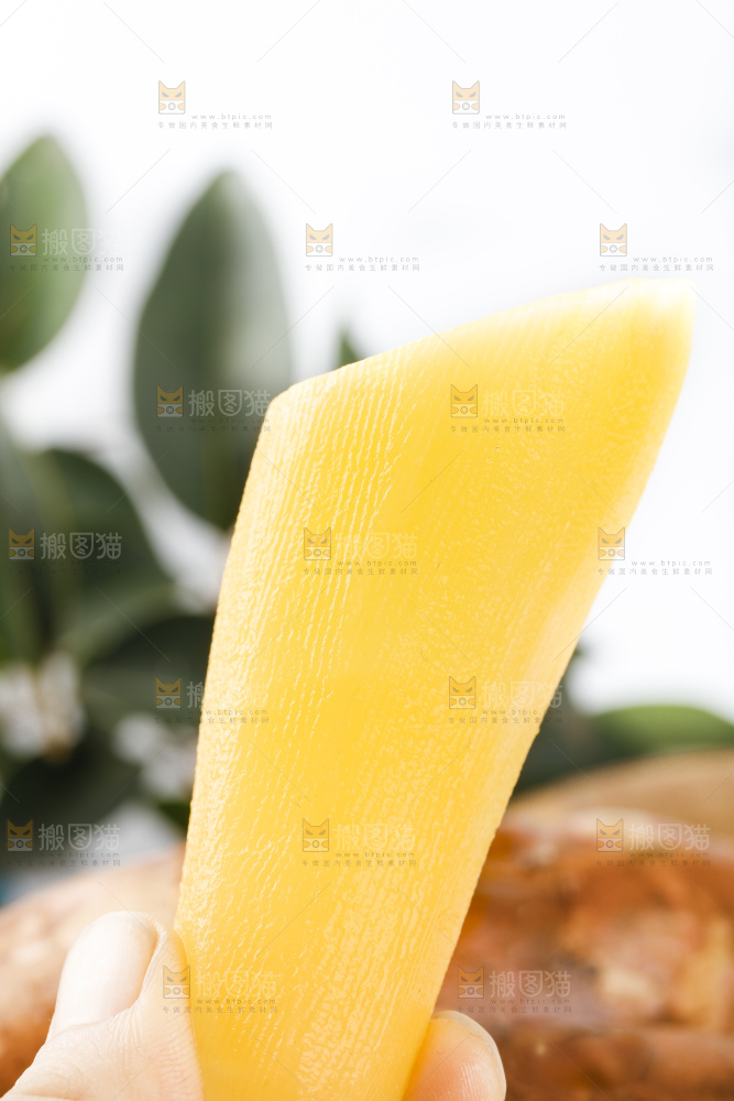 手里拿着新鲜雪莲