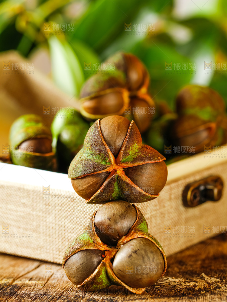 箱子里装着茶油籽